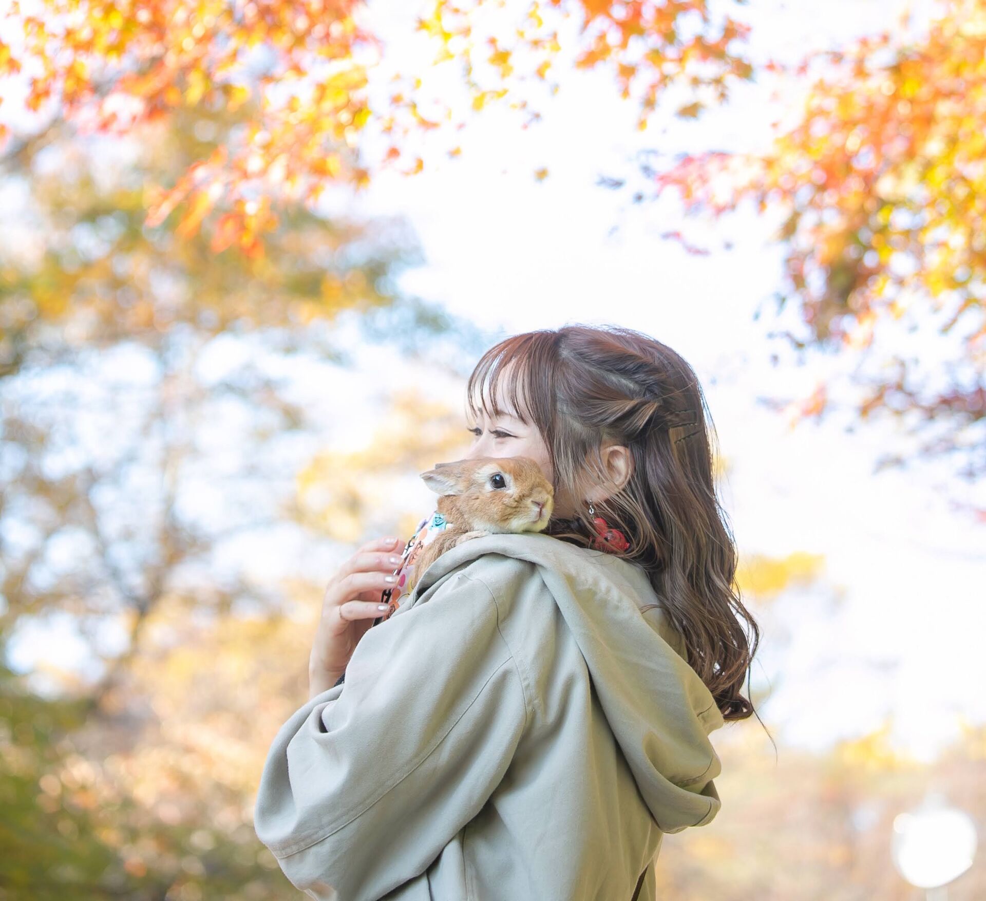 写真 2022-11-11 9 32 07